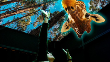 Hologram Zoo Skyroof