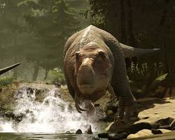Learning wildlife through immersive hologram experiences