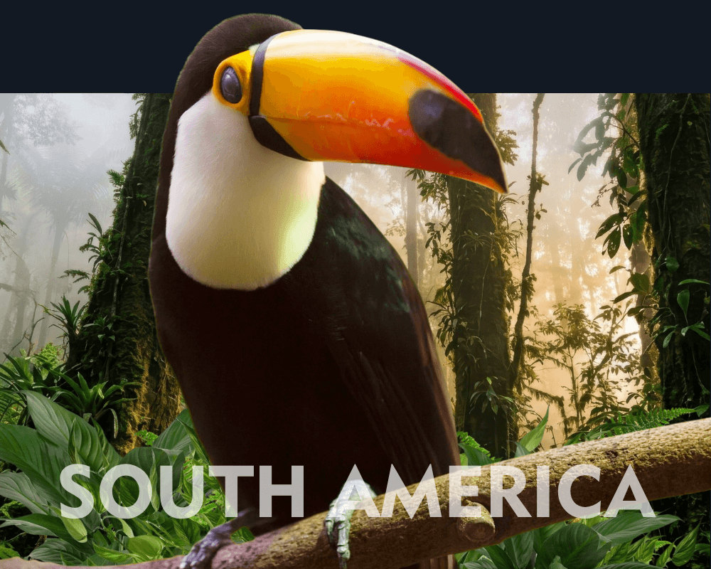 South America (2)